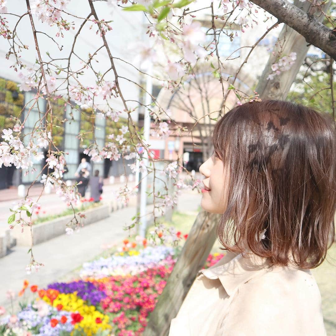 朝長美桜のインスタグラム