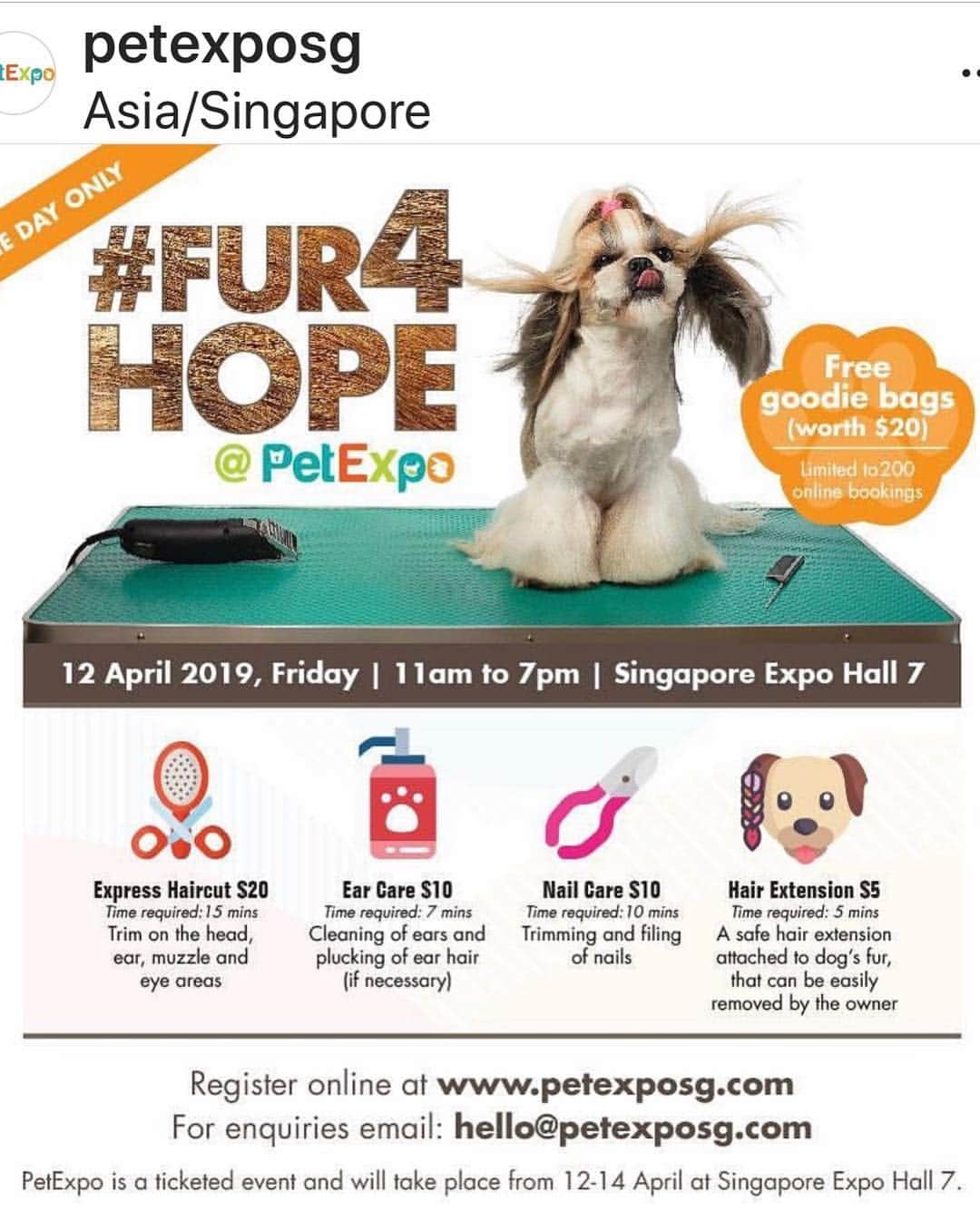 Truffle??松露?トリュフさんのインスタグラム写真 - (Truffle??松露?トリュフInstagram)「📆(1Apr19) Happy April and new week to all! 😁😘I’m so looking forward to the upcoming #petexposg2019 🐶🐰🐹😺🛍🛒, which is happening from 12 Apr to 14 Apr at the Singapore Expo Hall 7, from 11am to 8pm daily. 📣 Pet Expo is giving away 10 pairs of 1-day passes (on 12Apr, Friday) to 10 of my lucky fur-friends!! To enter the giveaway, simply follow the steps below: 1. Like this post and follow @petexposg  2. Screenshot the #FurForHope event poster (second pic in this post) and share it on either instastory or instapost 3. Tag @petexposg and @trufflethetrouble and add the hashtags #petexposg2019 and #FurForHope in your post 4. Leave a comment here after you have shared 5. The first 9 persons to  complete the above will win a pair of tickets each! I will paw-pick for the last pair of tickets for the rest who have shared! (Closing date: 2nd Apr 23:00hr)  #FurForHope is the first charity dog grooming event of its kind in Singapore.  It is organised by Animal Arts Academy and Pet Lovers Centre and held in conjunction with PetExpo on 12Apr, to raise funds for AVA’s rehoming partners and to raise awareness about dog welfare. All proceeds will go to the 11 rehoming partners There is even a goodie bag worth $20 for all the on-line participants. So hurry, purchase your pet grooming services and support this good cause.  http://petexposg.com/programme/whats-on/furforhope/」4月1日 21時30分 - trufflethetrouble