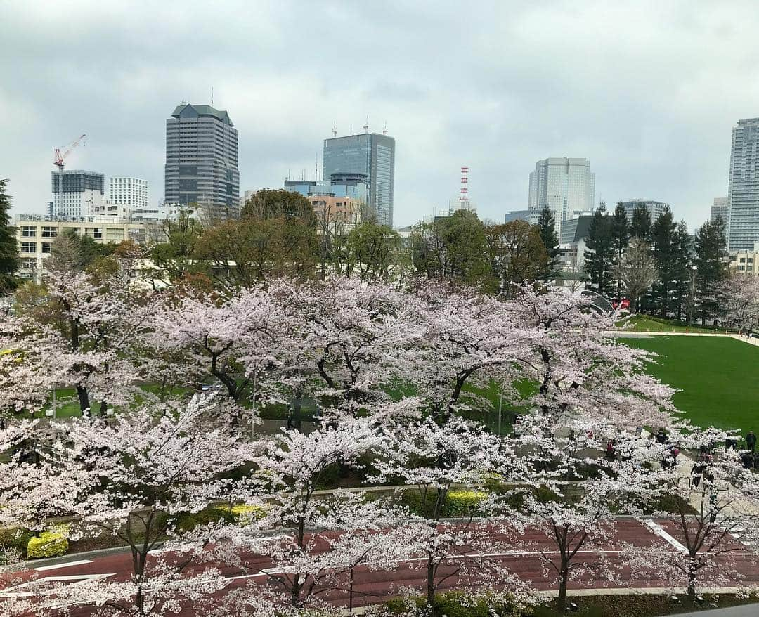 駒田奈美さんのインスタグラム写真 - (駒田奈美Instagram)「・ ・ ・ 「桜を眺めながらランチしたい🌸」 ・ ・ そんな願いが叶うランチ♡ ・ ・ 満開の桜を眺めながらのランチは贅沢なひと時 ・ 折角だから… 海鮮のお料理に白ワインを♪ ・ ・ たまにはそんなご褒美も良いんじゃないかな^ ^ ・ ・ ・ まだまだお花見は続きます…🌸 ・ ・ ・ #駒田奈美#オスカープロモーション#モデル#アラフォー#お花見#ミッドタウン#桜#花#満開#海鮮#ランチ#白ワイン#ワイン#ムルソー#贅沢#ひと時#ご褒美」4月1日 21時37分 - nami.komada