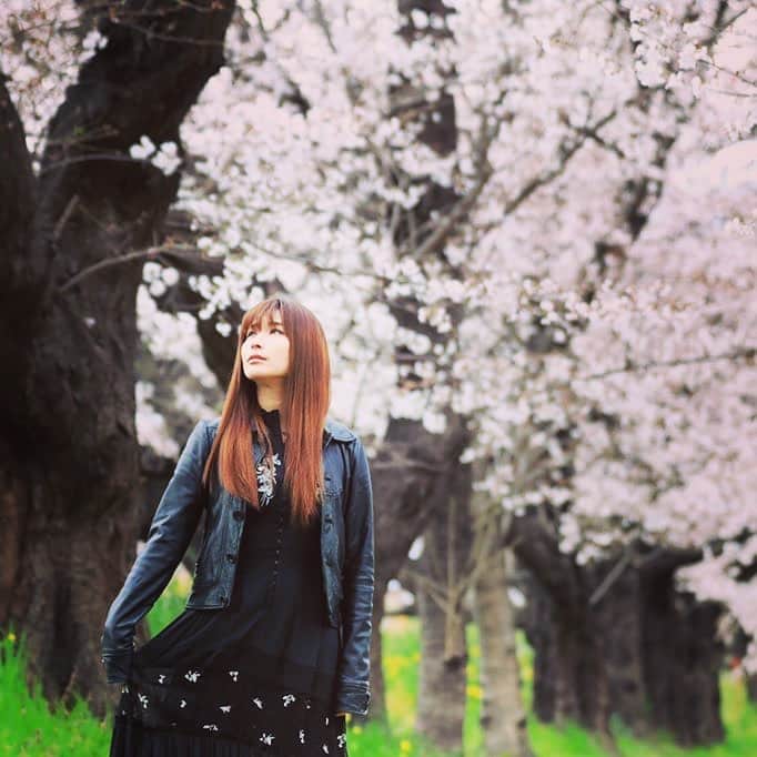 有馬綾香のインスタグラム：「熊谷好き。 #桜 #速報 #写真 #撮影会 #写真好きな人と繋がりたい #撮影モデル  #撮影会写真 #写真好きな人と繋がりたい #熊谷桜堤 #映え #ブラックコーデ」