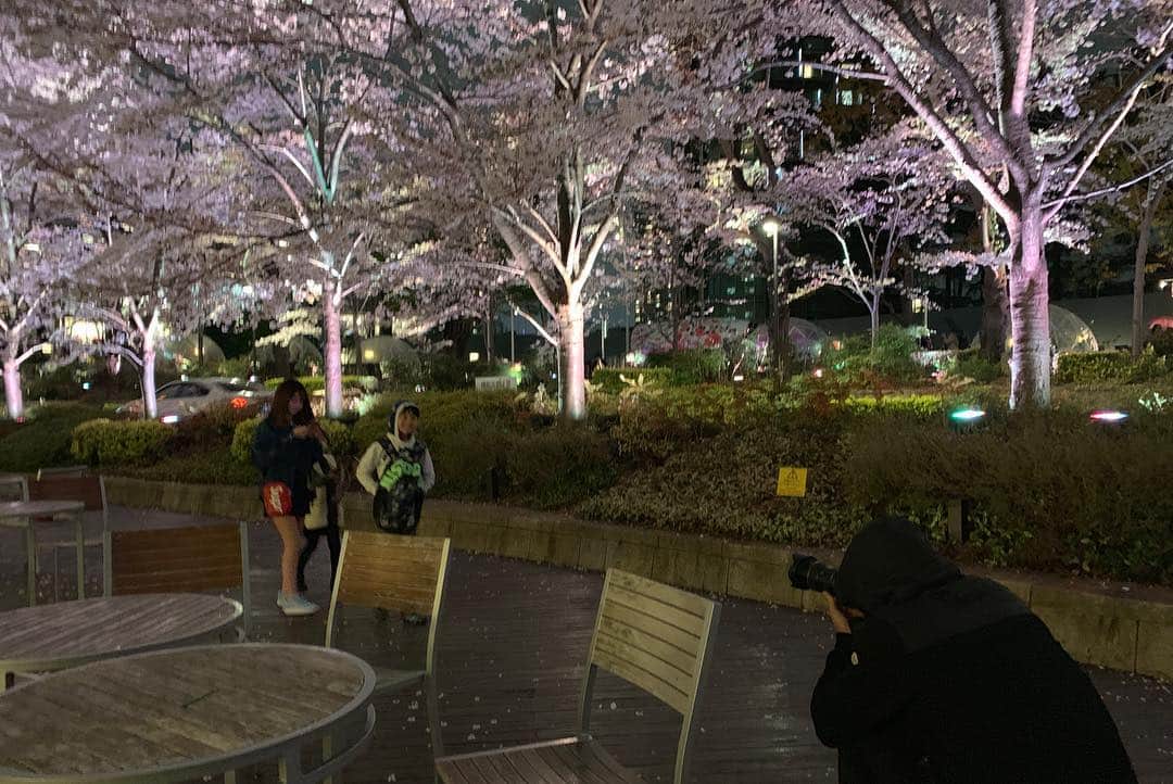 岩隈久志さんのインスタグラム写真 - (岩隈久志Instagram)「今日は体のケアのあとに８年ぶりに日本の夜桜見物をしました！﻿ 次女は生まれてすぐにアメリカに行ったので、生まれて初めて日本の桜を見て嬉しそうでした^_^﻿ ﻿ #cherryblossom」4月1日 21時42分 - hisashiiwakuma_21