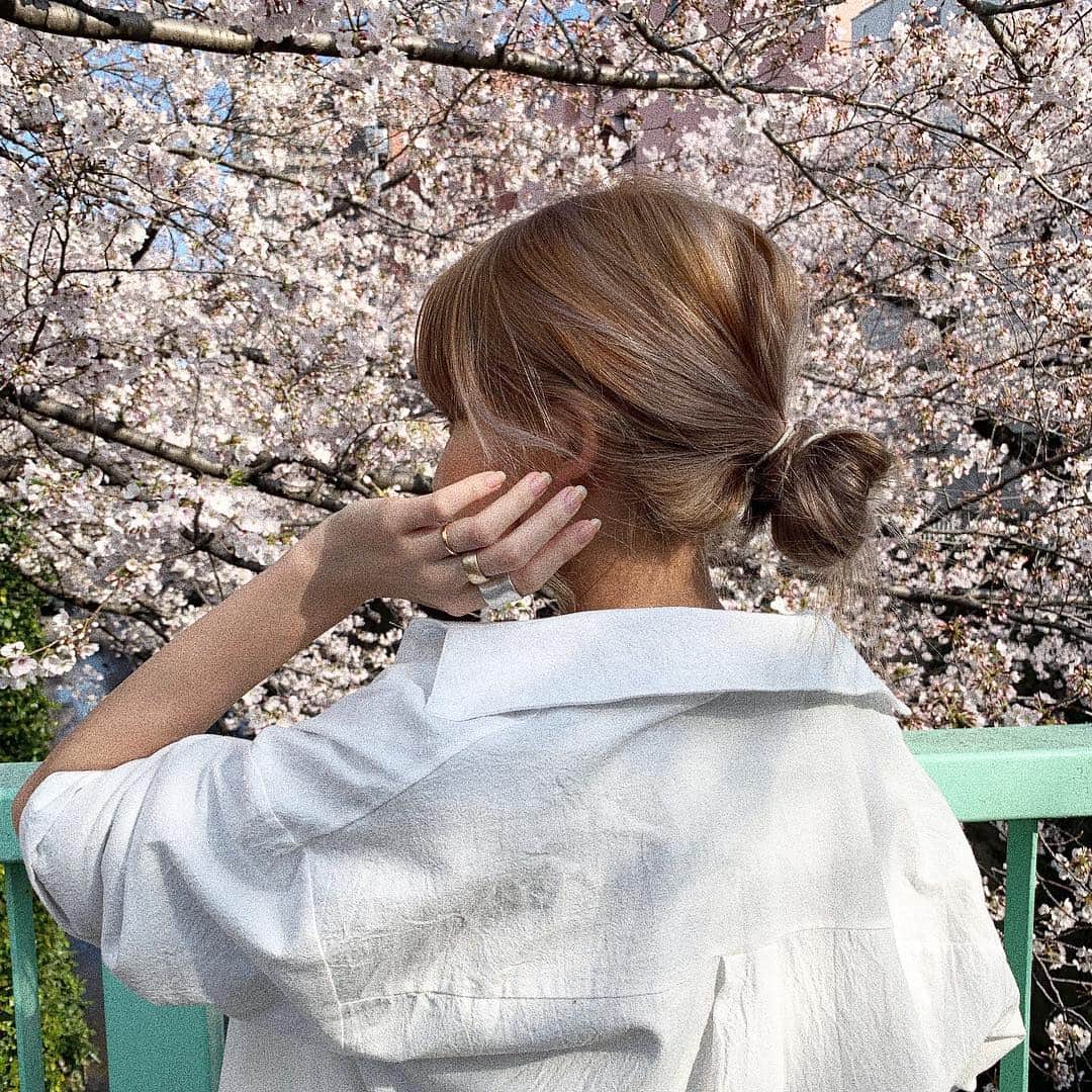 Alisaさんのインスタグラム写真 - (AlisaInstagram)「sakura🌸﻿ ﻿ 今年も近所の桜並木が﻿ 満開で散歩が楽しい🥰﻿ ﻿ そいえば、さりげなく﻿ 金髪に戻りました🤫💭﻿ ﻿ やっぱり私は金髪がしっくりくる👏🏼」4月1日 21時53分 - alisataira