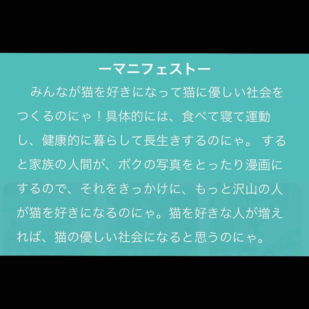 Shishi-maruさんのインスタグラム写真 - (Shishi-maruInstagram)「🐱「nyatching」サービスを提供する株式会社naynsで、4月22日（月）に入社する猫社員を決める、総選挙を現在実施中です↓↓↓ https://nyans.net ししまるも社員候補生です。是非皆様のかつお風味の1票をお願いいたします！！ 😺Please check it below URL.And Click shishi-maru:)) https://nyans.net ーーーーーーーーーーー 📕「ぷっちねこ。」単行本発売中 📗「3匹のちいさな猫を召喚できたなら」 📘「ちいさな猫を召喚できたなら」重版出来 ーーーーーーーーーーー ⭐︎ねこ漫画を描いています→@tacos_cat 🐱公式→@chiisanacat 🌺Twitter →@taco_emonemon ーーーーーーーーーーー」4月1日 21時53分 - emonemon