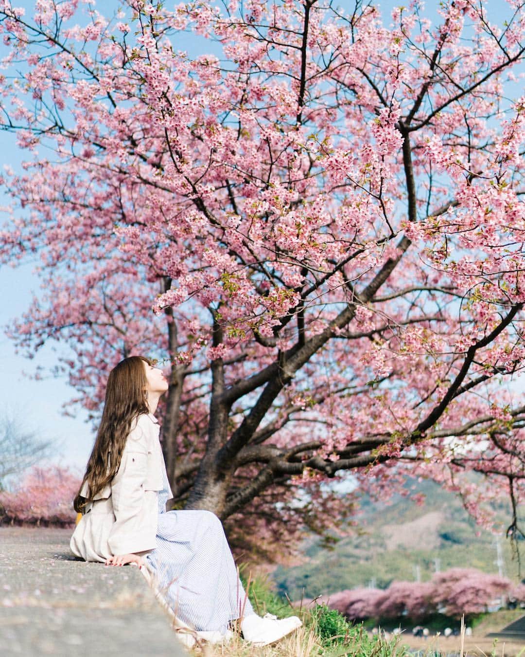 GENTAのインスタグラム：「春の日🌸 ㅤ My original Lightroom presets were released at @curbonjp . Please check the URL on my profile for detail. ㅤ 僕のオリジナルLightroomプリセットが @curbonjp から発売されました。配信されているプリセットは僕が実際に写真編集で利用しているものです。プリセットの詳細はプロフィールのURLからご確認ください。 ㅤ」