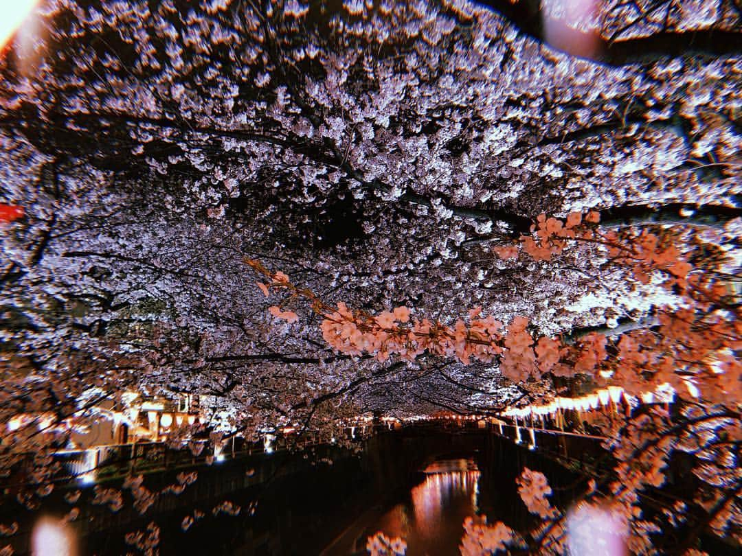 renさんのインスタグラム写真 - (renInstagram)「・ ・ 夜桜見れて満足 5分いたかどうかも分からんけど ・ ・」4月1日 21時49分 - _reeen_