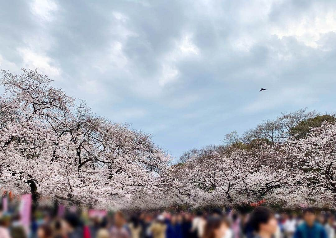 中川可菜さんのインスタグラム写真 - (中川可菜Instagram)「新年度が始まりましたね🌸 そんな今日は、、、 新元号発表の歴史的瞬間を リアルタイムで観ることができて嬉しかったー！ #平成 から #令和 に変わる瞬間も楽しみ🎌 #平成も残り1ヶ月 #令和まであと1ヶ月」4月1日 22時00分 - nakagawa_kana