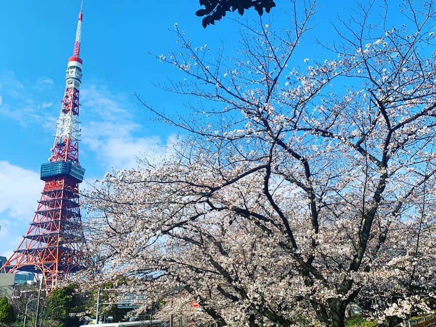 小澤陽子さんのインスタグラム写真 - (小澤陽子Instagram)「at work☻  新元号〝令和〟🌸 . . 発表されて実感が湧き、 自分が生まれた『平成』という時代に 強く愛着があることに気が付きました。 . . . ☞ 平成  令和 ☜ と、〝平和〟の文字がリレーされていて、 素敵な元号ですね😊🕊🍀 . . 〝平成〟が終わってしまうのが寂しく思いつつも、どんな時代が幕開けるのか、わくわくです！  平成ラスト１ヶ月。 どうやって過ごそうかな〜🌼. . . #新年度初日の仕事 は #全力脱力タイムズ から🤓 #四月一日 #年中 #エイプリルフール な#報道番組 #新元号 #令和 #平成 #ARIGATO☻」4月1日 22時10分 - yoko.ozawa729