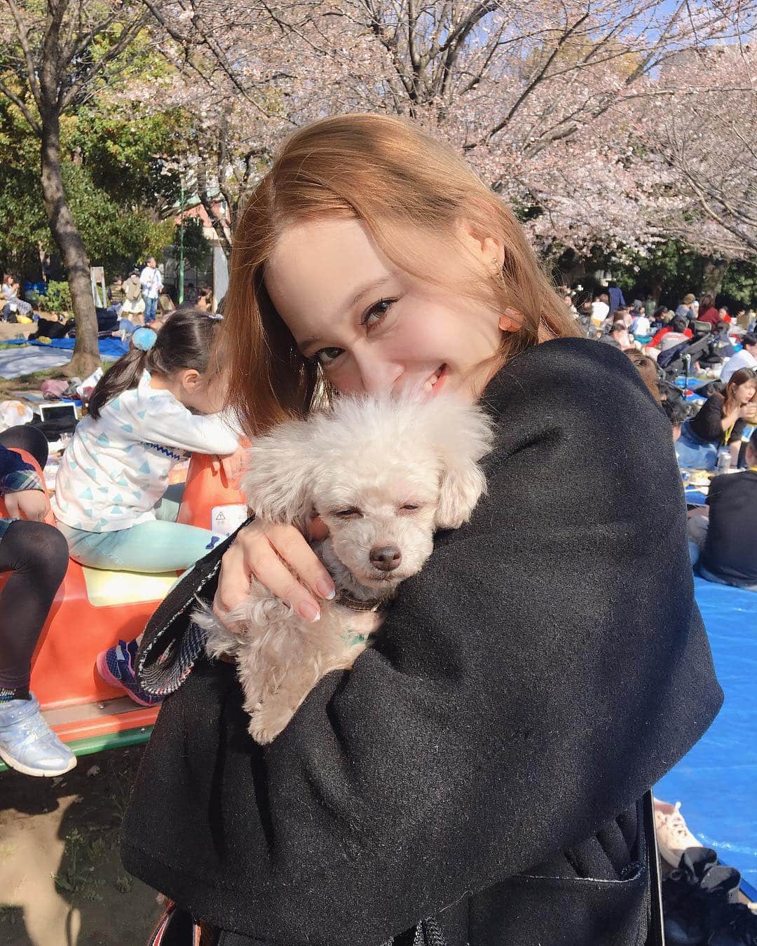 本田しおりのインスタグラム：「予想以上にハイトーン女子受けが良いです🙈❤️ #花見」