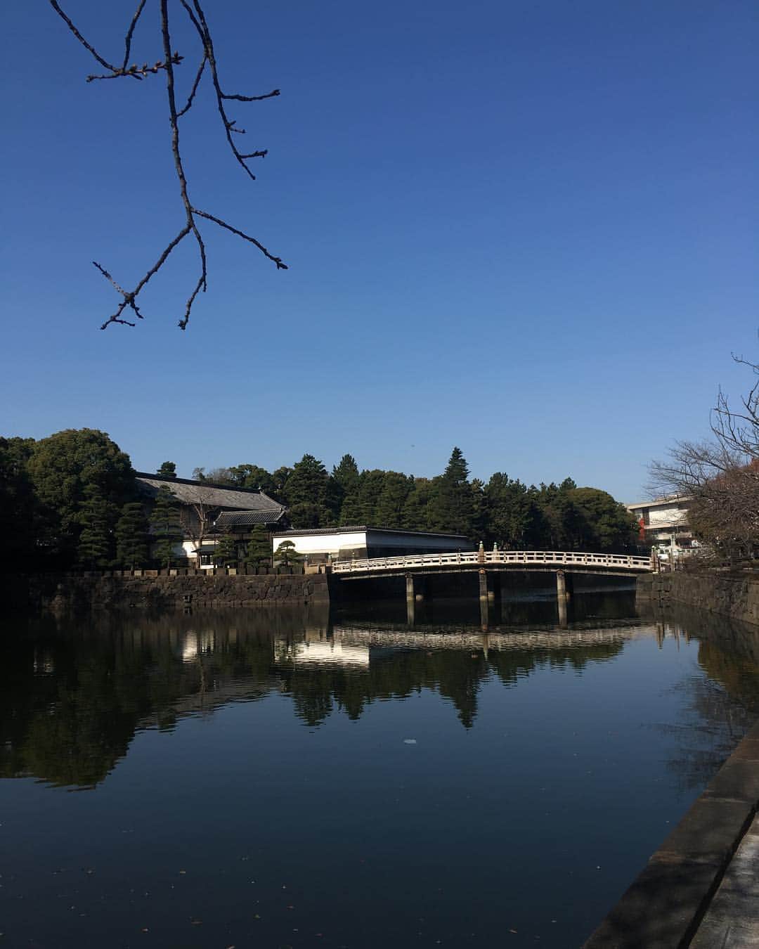 のインスタグラム：「#皇居ラン 平成もあと1ヶ月🌸 来月には新しい天皇を迎え入れるのね🌞 新しい時代、楽しみ❤️ . . #令和 #平成 #東京 #new #tokyo #japan #run #running #fit #morning #goodmorning #sunshine #bluesky」