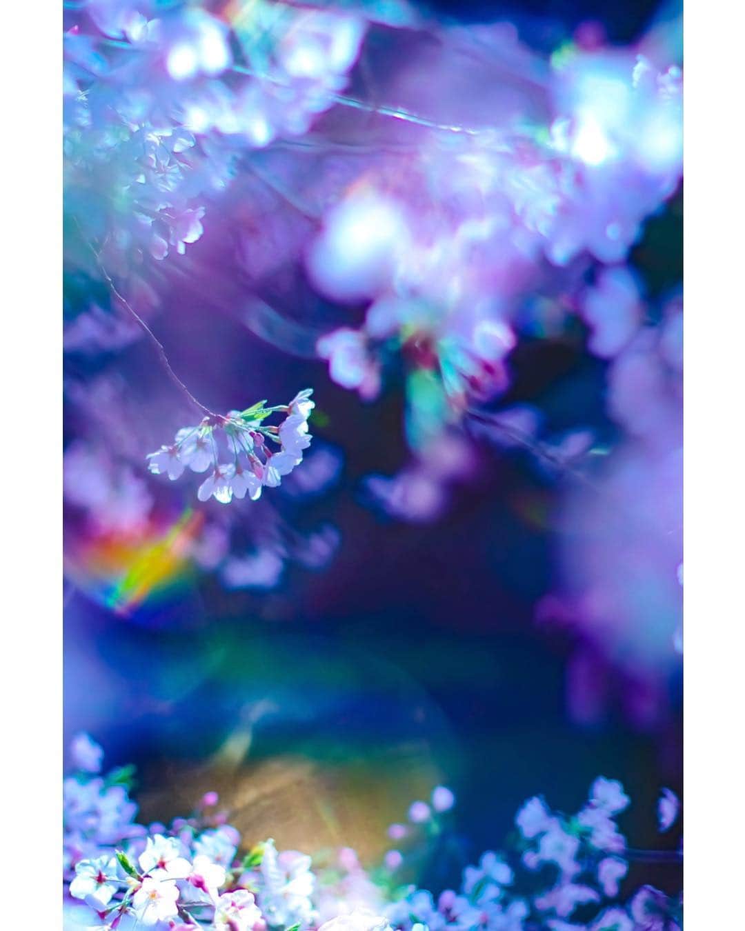 メグのん♡ A k i k oのグルメインスタ