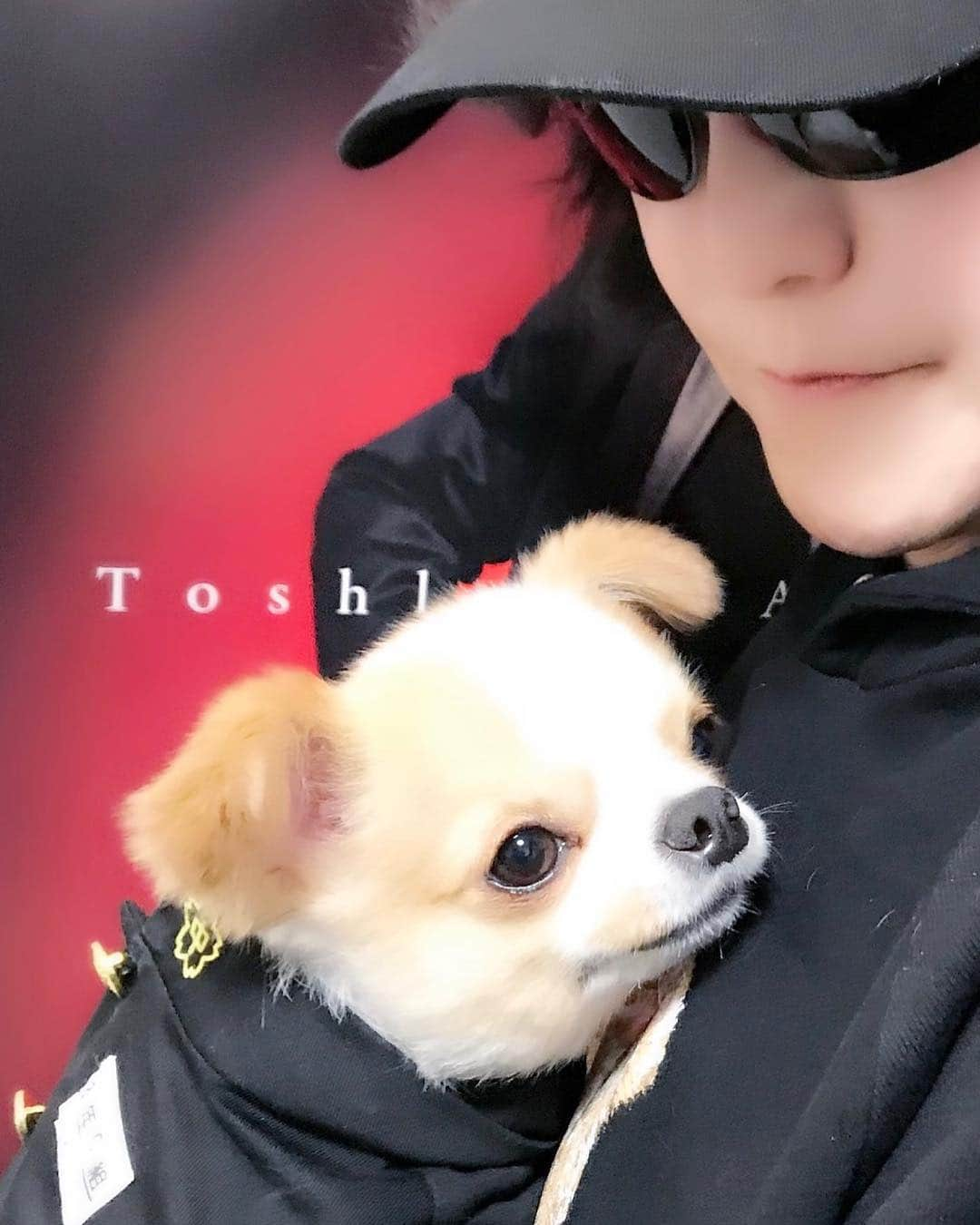 Toshlさんのインスタグラム写真 - (ToshlInstagram)「#ガクラン #プリンス #にゃんたろう も #出演 #してくれた #ニコ生 #秘密の花園 #ホームグラウンド#的な #大切な場所 #ご参加の皆様ありがとうございました #また #お会いしましょう  #令和 #素敵な #時代に #一緒に #創ろう #是 🤞🏻😎」4月1日 22時36分 - toshl_officia