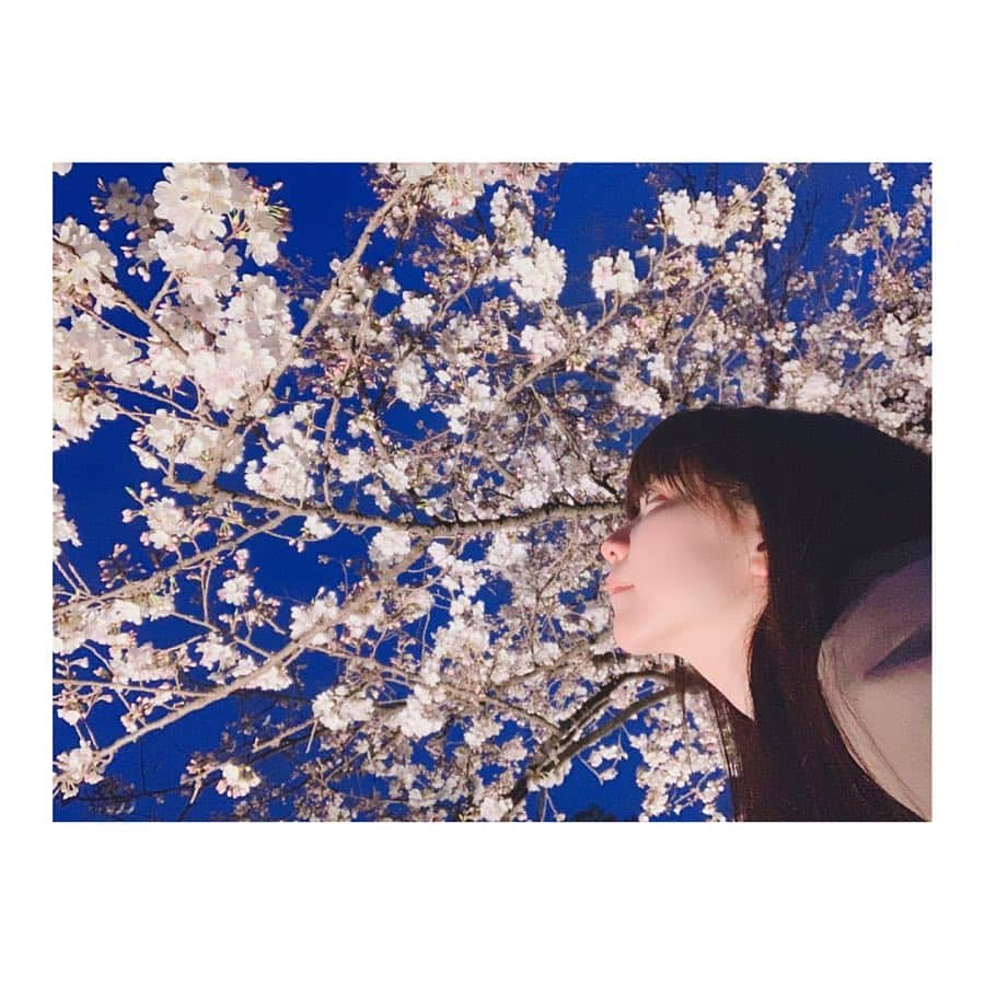 安齋由香里さんのインスタグラム写真 - (安齋由香里Instagram)「2019/04/01﻿﻿ ﻿ 六義園にて、わたし。﻿﻿ (iPhone撮影)﻿ ﻿﻿ #さくら #六義園」4月1日 22時36分 - yukari_anzai_1231