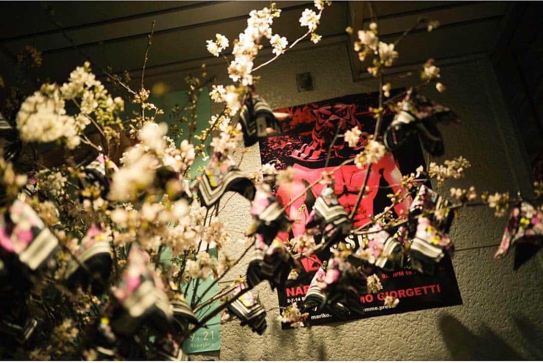 GO AKIMOTOさんのインスタグラム写真 - (GO AKIMOTOInstagram)「MSGM SAKURA PARTY HOSTED BYMASSIMO GIORGETTI🌸」4月1日 22時29分 - go_akimoto