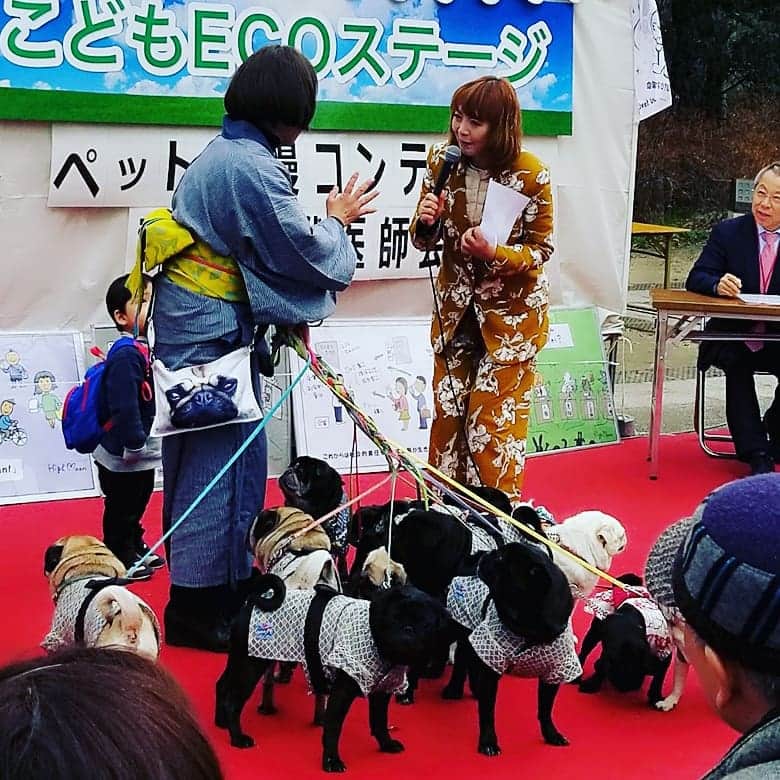 のインスタグラム：「パグまみれ犬🐶」