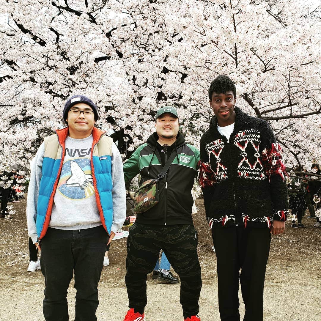 中岡創一さんのインスタグラム写真 - (中岡創一Instagram)「桜まみれ  目に見えて感じる、春  中岡も感じてます  #感じるな #桜と共に散れ #春を迎えるな #花を見るな #アイクに謝れ #クマムシ長谷川に謝れ #でも #春だから #いいね #くらい欲しいよな #もらっとけ」4月1日 22時31分 - lottinakaoka