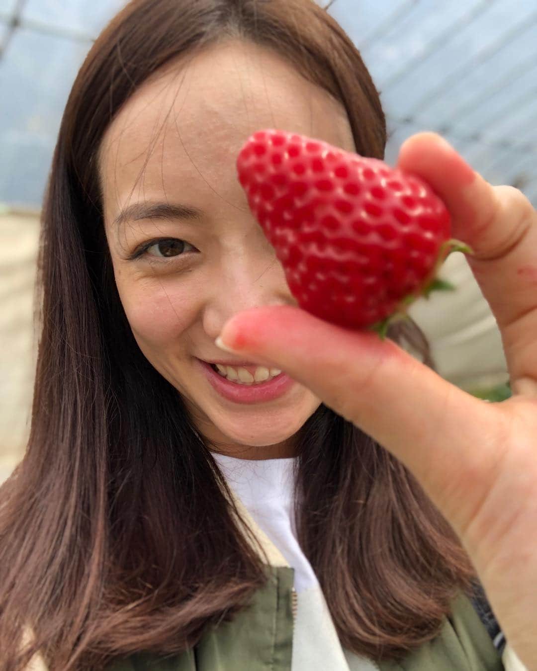 我謝レイラニのインスタグラム：「いちご狩り行ってきたよー🍓 30分でこれでもかっ！ってくらい食べまくったよ( ´艸｀)今年はいちごが高く感じてあまり買ってなかったから幸せすぎる♡ #いちご狩り #もとはとったはず(*´罒`*) 今度は #さくらんぼ狩りも行きたいな〜🍒」