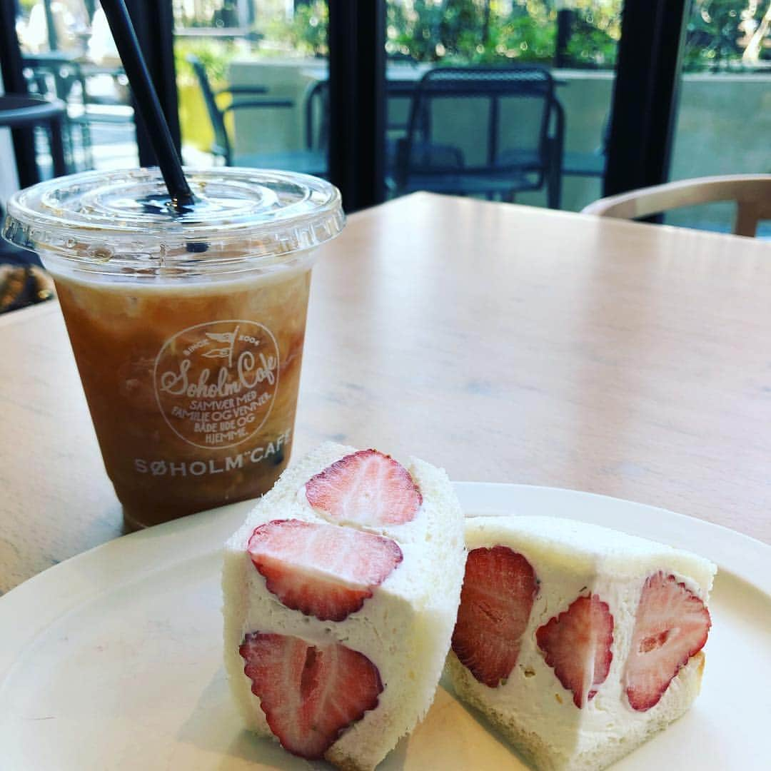 藤岡静香のインスタグラム：「苺サンド🍓大好き💕😘 二日連続苺サンド🍓クリームが甘過ぎず程よい。プラス二切れが丁度いいね😊👍静香サイズ❤️#いちご  #苺サンド  #サンドイッチ  #strawberry  #フルーツサンド  #甘いの大好き  #カフェ #cafe  #ミルクティー  #instagood  #instafood  #likeforlikes  #お洒落さんと繋がりたい  #丁度 #美味しい」