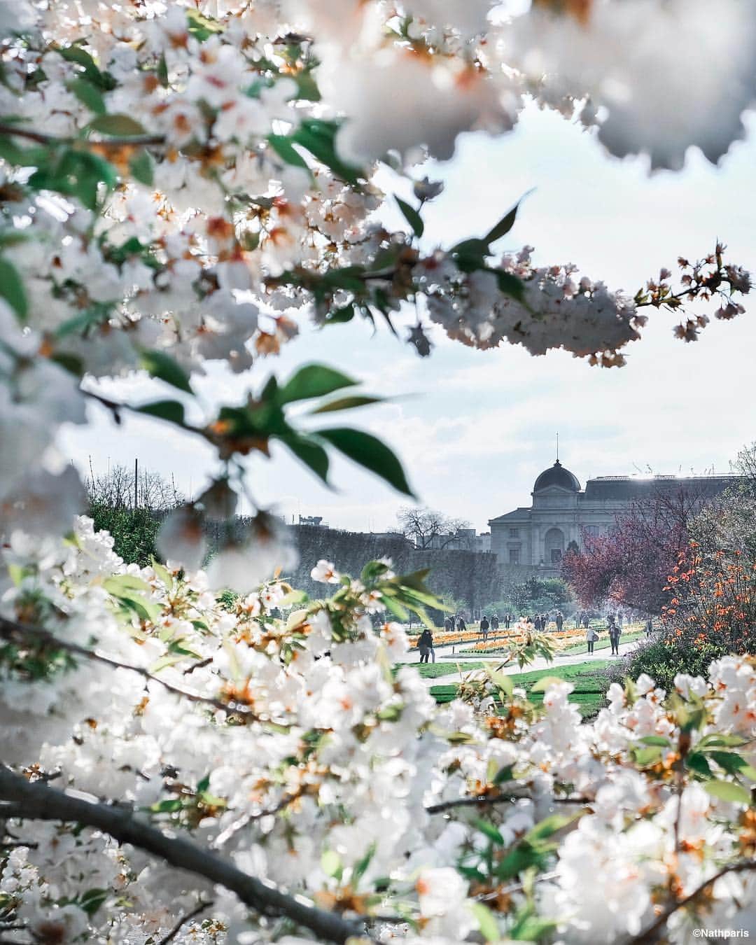 nathparisのインスタグラム：「Hello April! #paris」