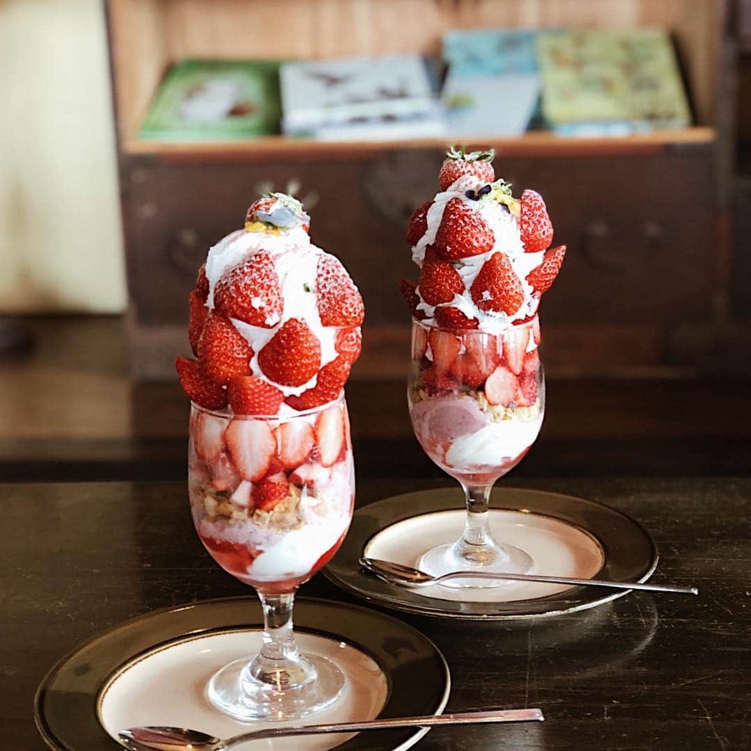 堀江直美のグルメインスタ