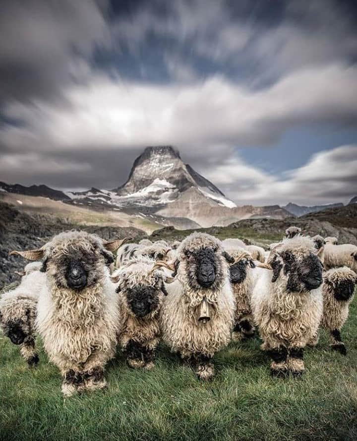 Orient Watchさんのインスタグラム写真 - (Orient WatchInstagram)「Herd any good April Fools jokes yet? Let's hear it!  Timeless capture by @iryna_raichuk . #photography #openmyworld #creative #natgeolandscape #livefolk #heatercentral #earthpix #stayandwander #theoutbound #exceptional_pictures #love #ig_selectphoto #canon #ig_today #fotocatchers #wonderearthclub #earth_reflect #allbeauty_addiction #world_shotz #earth_shotz #nature_brilliance #sky_brilliance #nature_perfection #nature_skyshotz #picture_to_keep #jj_skylove #perfexionpix」4月1日 23時00分 - orientwatch