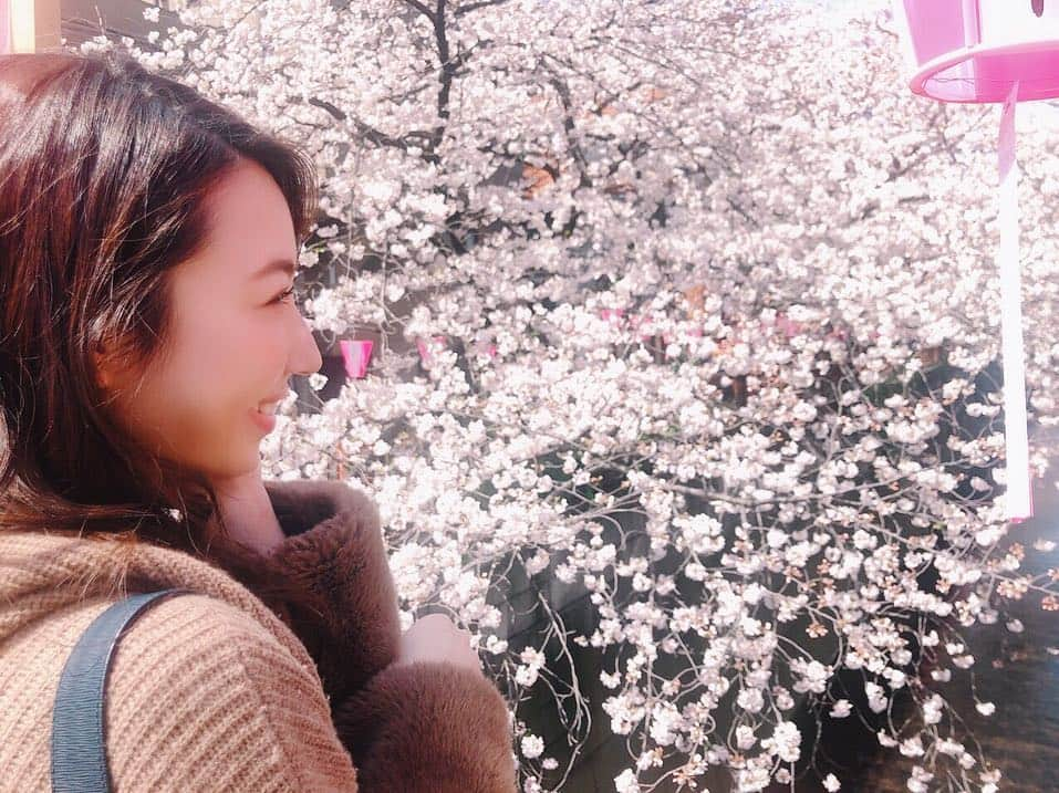 崎本ゆかりさんのインスタグラム写真 - (崎本ゆかりInstagram)「🌸🌸🌸🌸🌸🌸 . . #桜#うっとり#綺麗#かわいい#さくら#満開#中目黒#ぷらり#お散歩#お花見#東京#東京の桜#桜の名所 #sakura#pink#beautiful#happy#flower#cherryblossoms#iphonephotography#nakameguro#tokyo#japan#instagood#memories🌸」4月1日 23時00分 - yukariiiin5