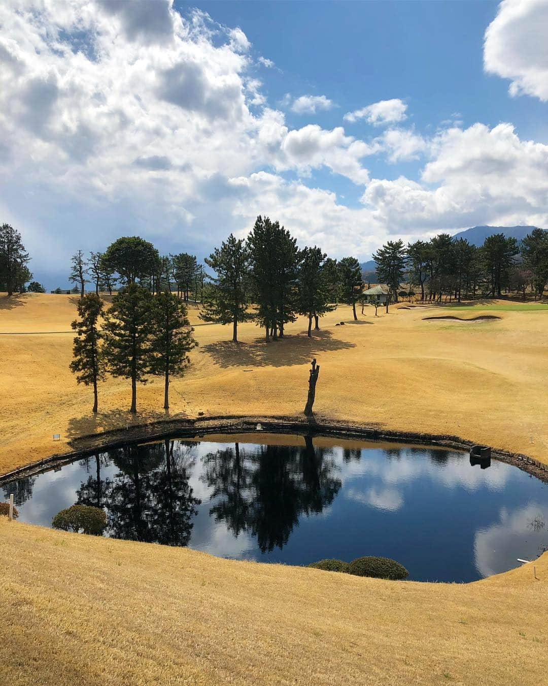 城戸康裕さんのインスタグラム写真 - (城戸康裕Instagram)「今日はゴルフやってから初めてのコンペ😄⛳️ ・ 今日スコア108で、後輩の俊樹に風呂で、 ・ 「いくつだった？？」 ・ って聞いたら、 ・ 「いやぁ今日マジきました、98です😚👍」 ・ マジかよ？！💦って思って、負けた事に宴会中3、4時間本気でヘコんでたら帰り際に、 ・ 「本当は128です、エイプリルフールです😄笑」 ・ 反射で腹に強めの右ボディーを入れてしまった👊 ・ #4月1日を忘れてた自分への怒りも込み #パイセンにゴルフの嘘はいかん笑 #golf #ゴルフ #厚木」4月1日 23時09分 - yasuhiro.kido