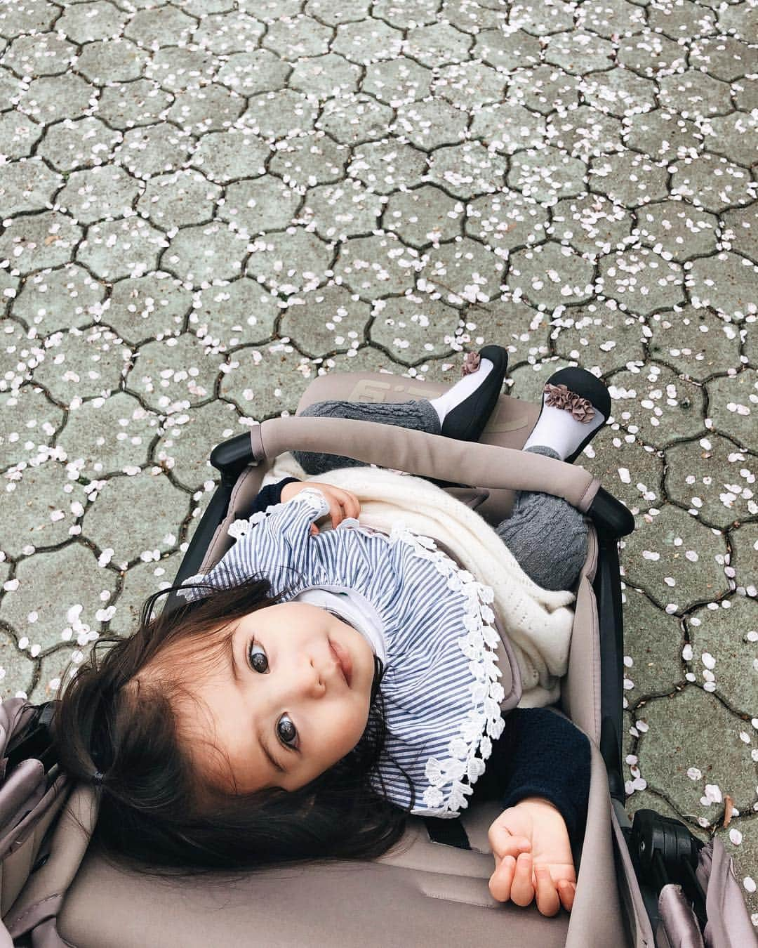 大橋菜央さんのインスタグラム写真 - (大橋菜央Instagram)「Morning walk to Meguro river🌸 . . . 朝の目黒川さんぽ🚶‍♀️ . 並木道を歩く間 ずっとベビーカーから桜を見上げていたMia👀 . 束の間の桜一色の世界を楽しんでくれてるといいな🌸 . . . #中目黒の桜 #目黒川の桜 #目黒川の桜並木 #小学校の老木は早くも桜吹雪 #桜スポット#朝の散歩 #赤ちゃんのいる暮らし #たれ眉 #生後13ヶ月 #1歳1ヶ月 #miababyliving」4月2日 10時01分 - naoliving