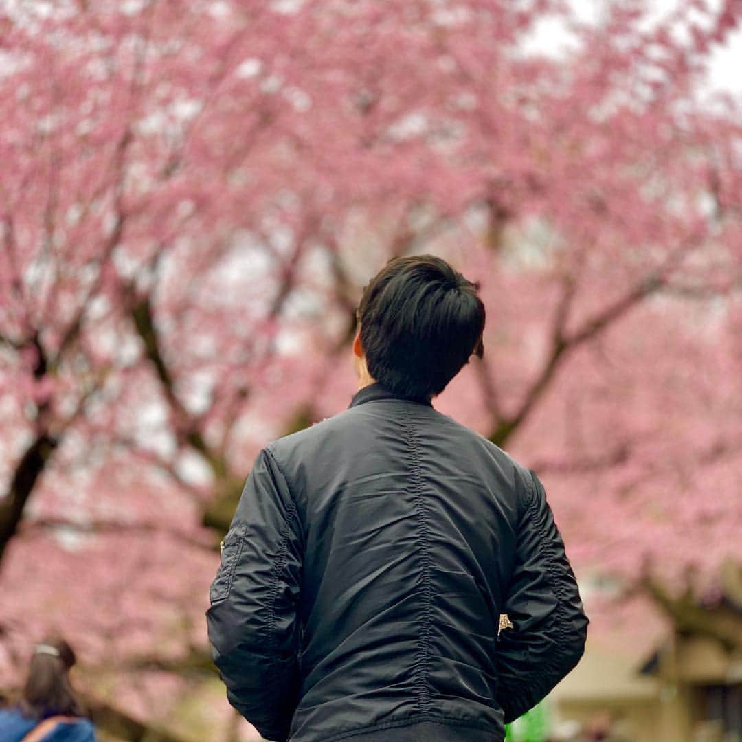 maki ogawaさんのインスタグラム写真 - (maki ogawaInstagram)「The government decided the new era name as “Reiwa” from "Heisei". When Emperor changes the throne, the era changes as well.  My 18 yo son starts college in April. Hope his new life will be brighter in the new era.」4月2日 9時02分 - cuteobento