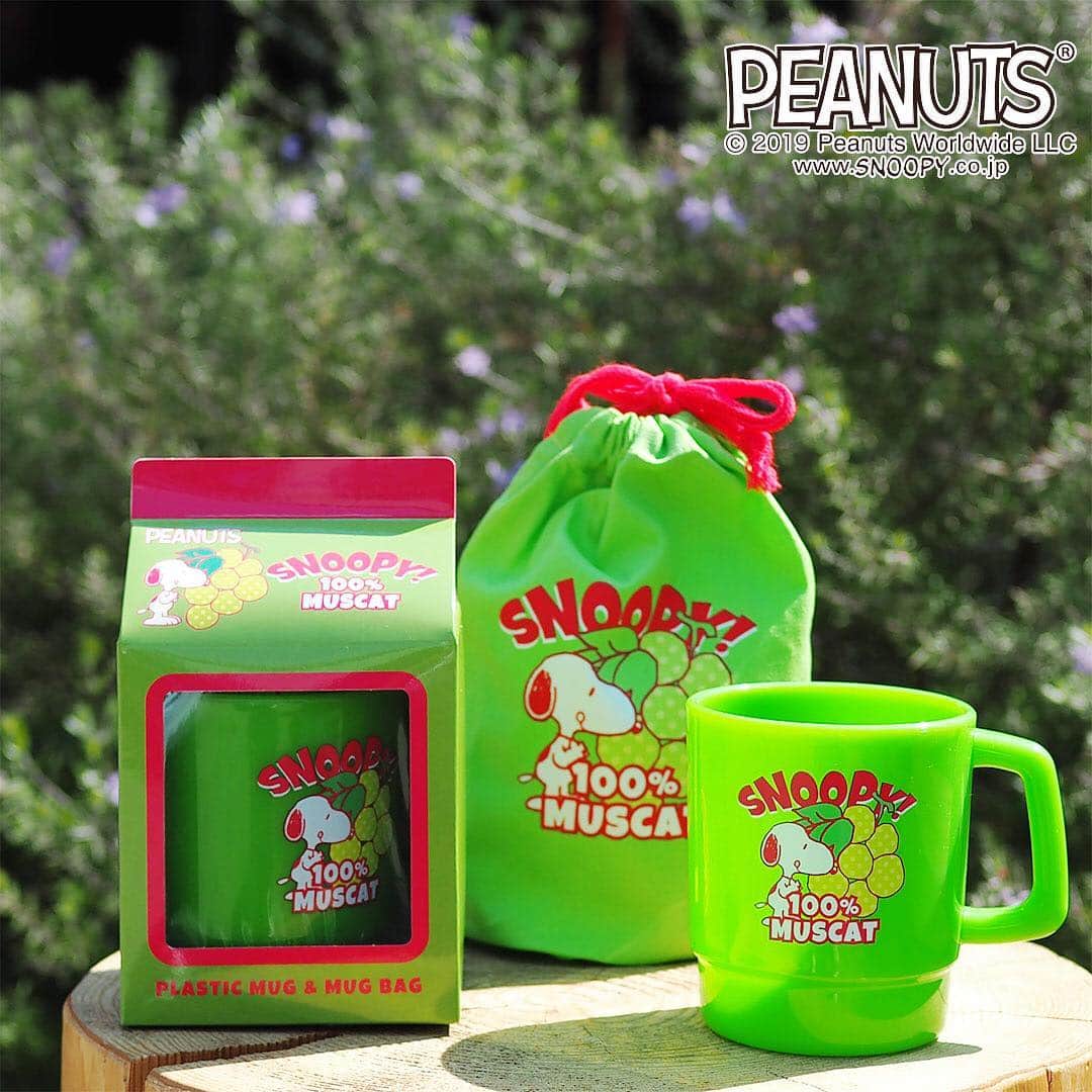 ワンズテラスのグルメインスタ