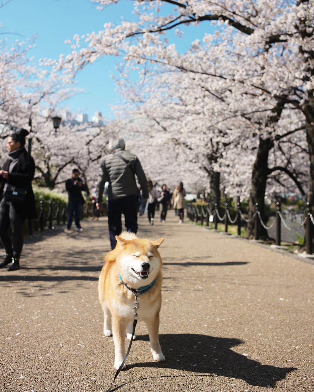 まる（まるたろう）のインスタグラム