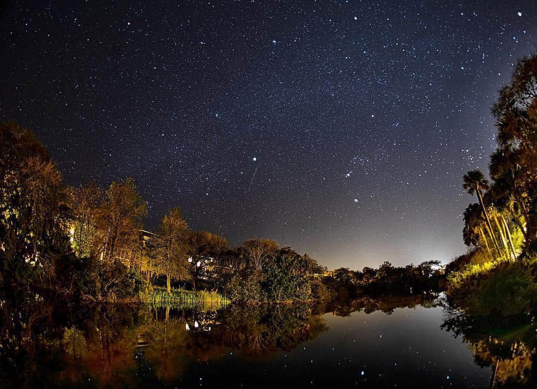 NikonUSAさんのインスタグラム写真 - (NikonUSAInstagram)「From #NikonAmbassador @tamaralackey: “Thought I was done shooting night photography out here in Kiawah, until we walked across this lagoon late last night - and I saw stars in the water.  Photographed with the @nikonusa D850 and the 16mm f/2.8 fisheye lens at 30 second exposure.  #NikonNoFilter #Starscape #D850 #NikonD850 #Astrophotography”」4月2日 2時02分 - nikonusa