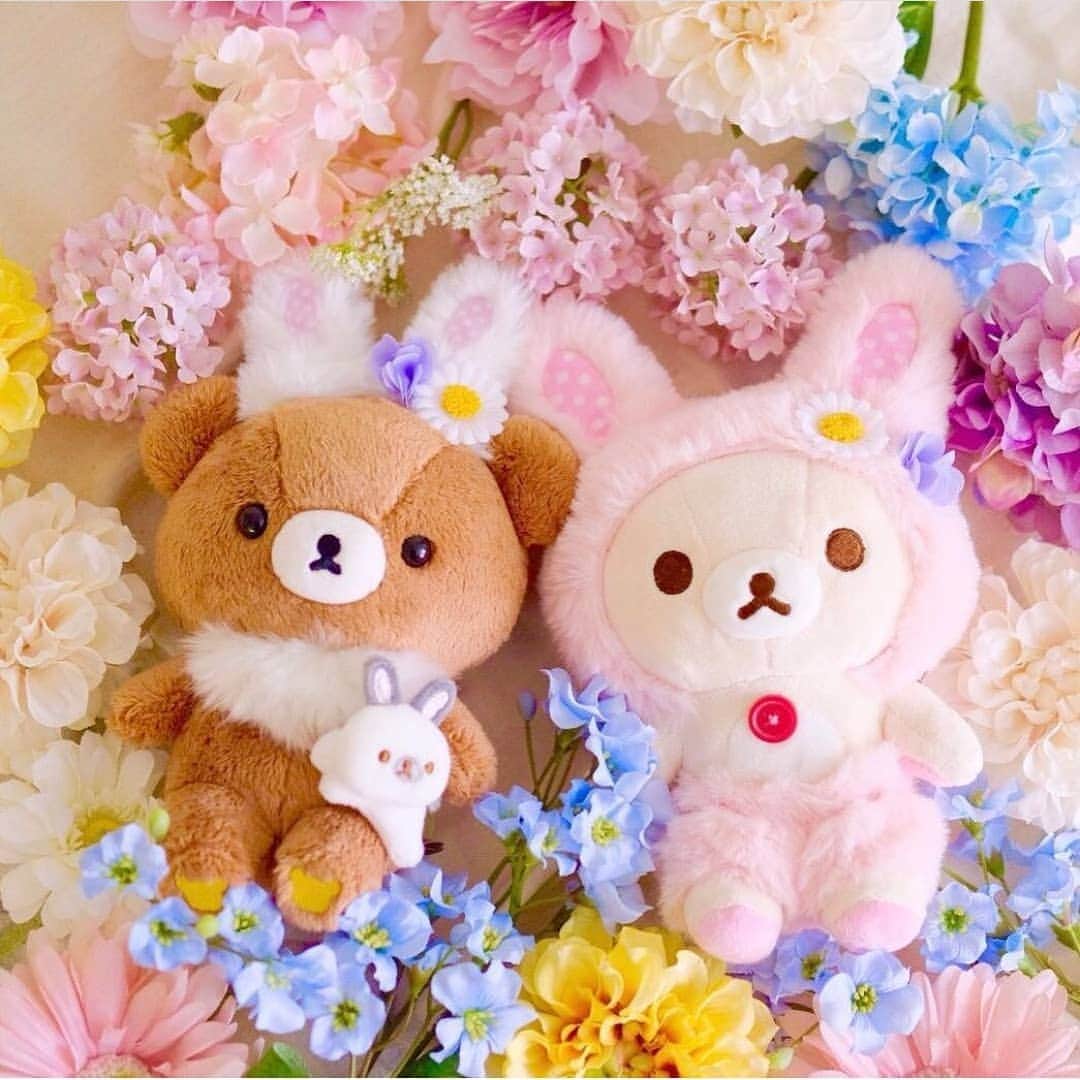 Rilakkuma US（リラックマ）さんのインスタグラム写真 - (Rilakkuma US（リラックマ）Instagram)「Spring is in the air! Here are Chairoikoguma and Korilakkuma relaxing in a bed of flowers as cute little bunnies! 🐰 . . . #Rilakkuma #rilakkumaus #sanx #kawaii#spring #easter #flowers #japan #hana #hanami #wreathe #bunny #リラックマ #サンエックス #かわいい #うさぎ」4月2日 2時42分 - rilakkumaus