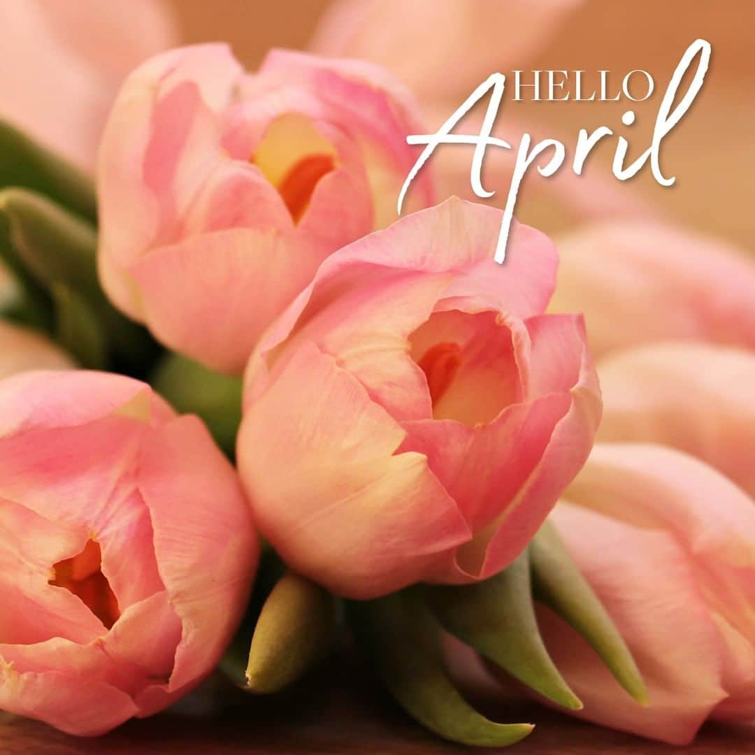 Grace Coleさんのインスタグラム写真 - (Grace ColeInstagram)「Hello April!  #April #april2019 #aprilskin #glamour #fragrance #flowers」4月2日 3時01分 - gracecoleltd