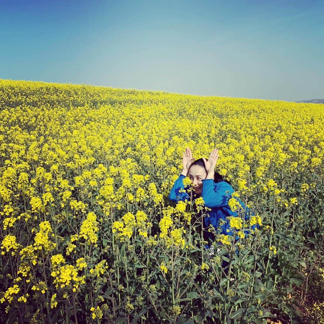 河瀬直美さんのインスタグラム写真 - (河瀬直美Instagram)「かくれんぼ第2弾^_^ Another Hide and seek !! #菜の花 #黄色大好き」4月2日 3時02分 - naomi.kawase