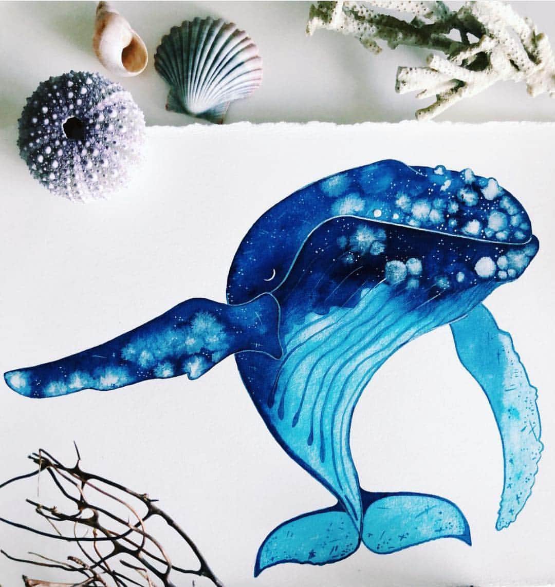のインスタグラム：「Isn’t this beautiful? An incredible water colour by the amazing @michellefleurphoto 🐋🌊 We wanted to share this work with you as part of our #partnersincraft initiative, supporting other talented artist we find on #instagram  #whale #blueplanet #love #watercolour」