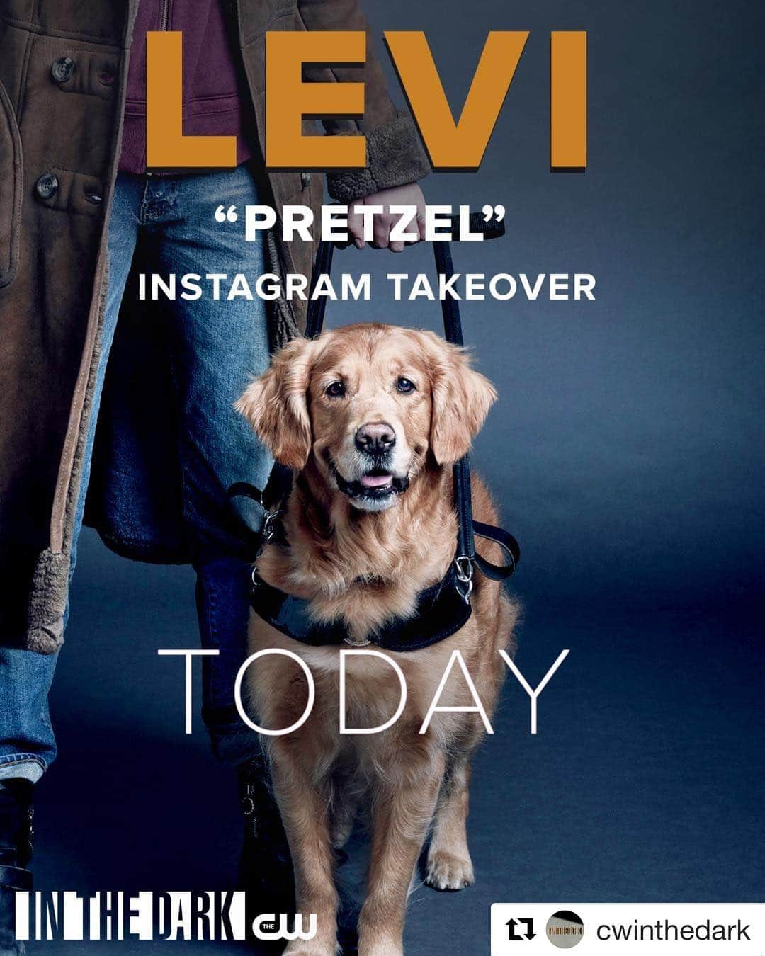 The CWさんのインスタグラム写真 - (The CWInstagram)「@cwpretzel is taking over @cwinthedark today! 🐾 #InTheDark」4月2日 3時19分 - thecw