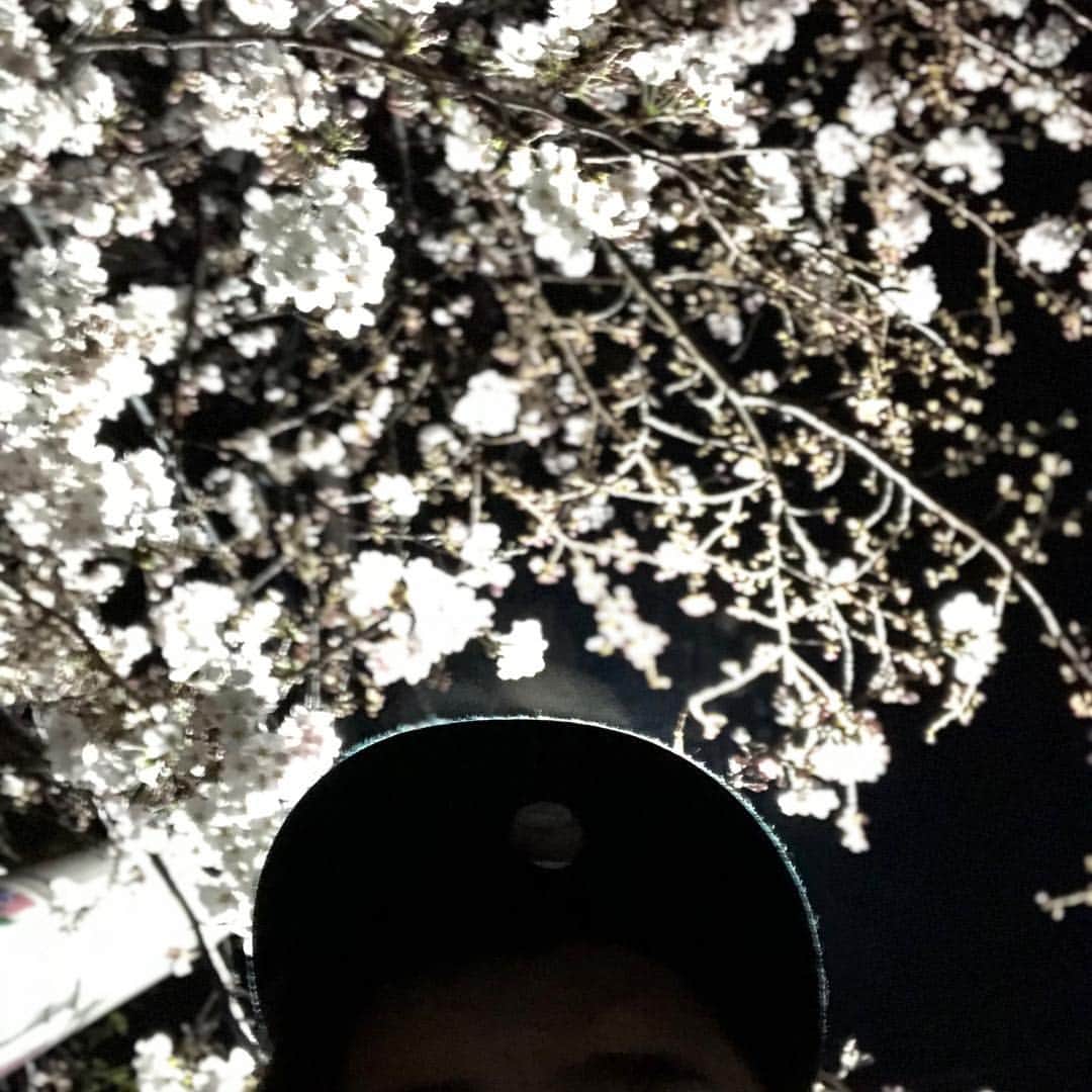ンダホさんのインスタグラム写真 - (ンダホInstagram)「平成最後の夜桜🌸 日本に生まれて良かった🍣  #平成最後 #桜 #令和」4月2日 3時27分 - ndaho.fischers