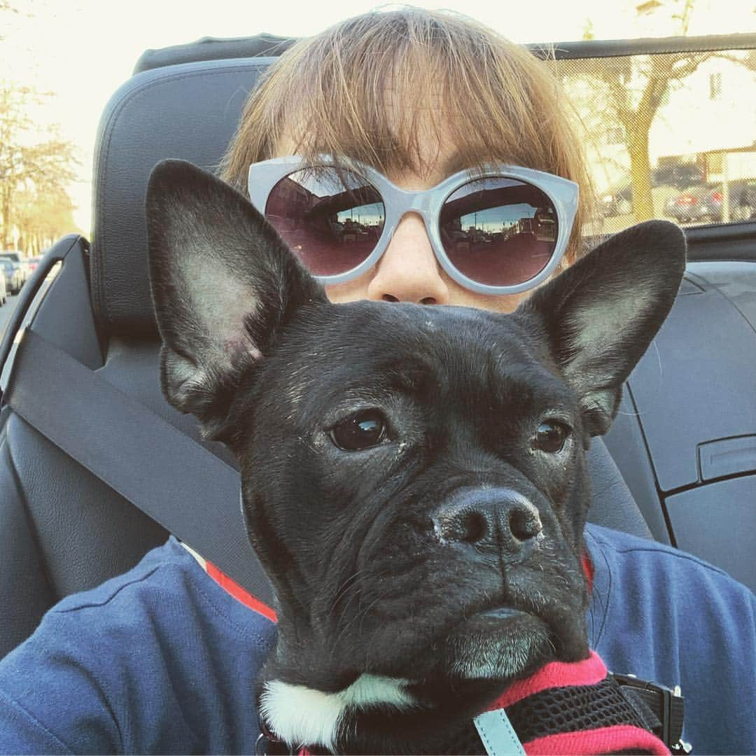 エミリー・スワローさんのインスタグラム写真 - (エミリー・スワローInstagram)「@normajeanmeatballs provides an interesting frame for viewing Seattle... #getoutofmydreamsgetintomycar #puppylove #downinfront」4月2日 3時53分 - bigeswallz