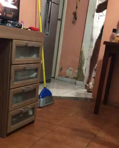 ホセ・レイエスのインスタグラム：「Que diría el doctor fadul 😂no eh Pol na..eh pa yo sabeL」