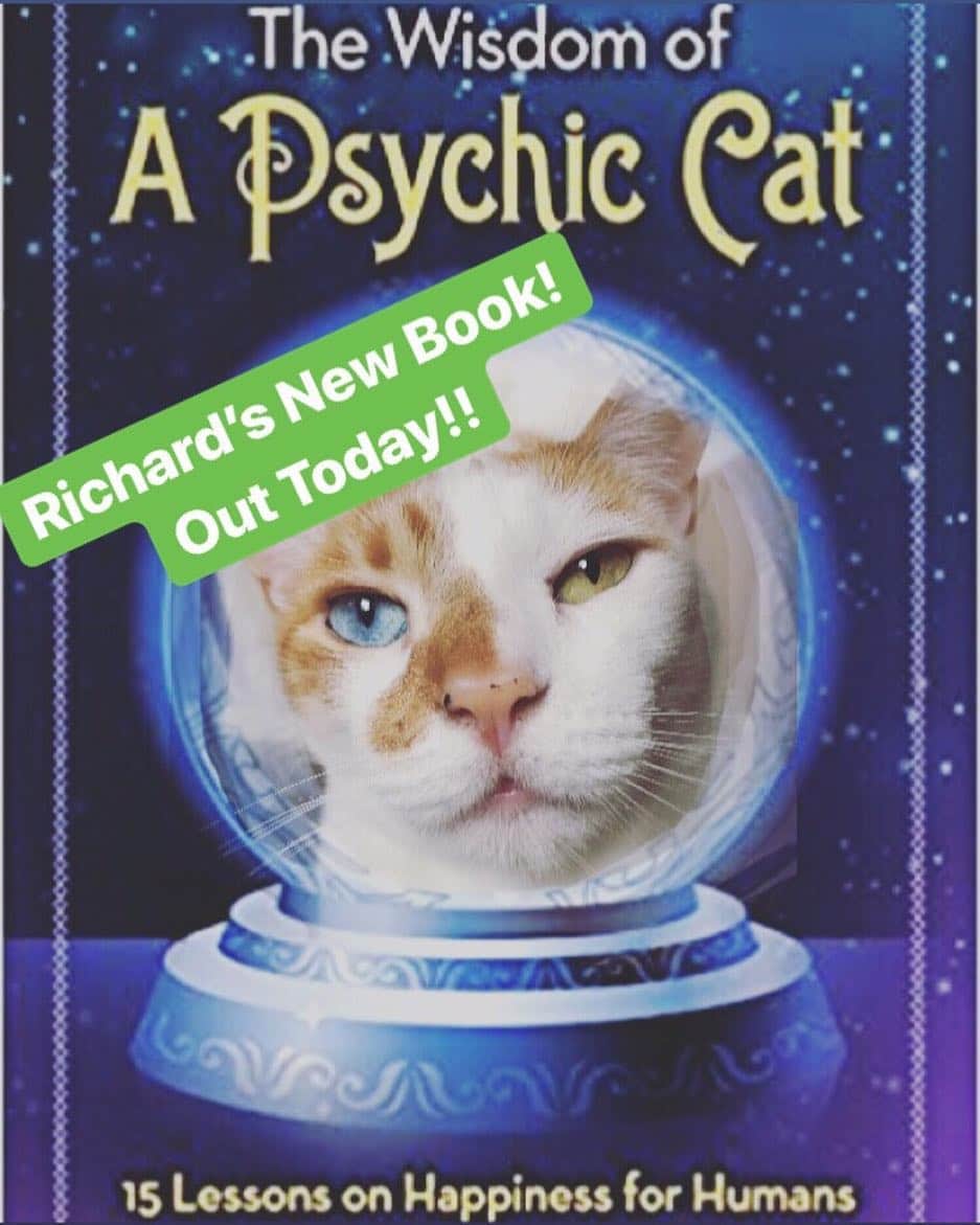 Richard Kittyさんのインスタグラム写真 - (Richard KittyInstagram)「I am THRILLED to announce Richard’s new book!!! Inspired by events several months ago, where Richard communicated to me 3 of the 7 winning Mega Millions numbers via his pawing movements in his litterbox sand—I won a full $10!!! Richard and I are here to share with you the secret to feline financial freedom. The book is available everywhere today!! Everywhere!! Richard will sign copies for the first 8 buyers.」4月2日 4時29分 - richard_kitty