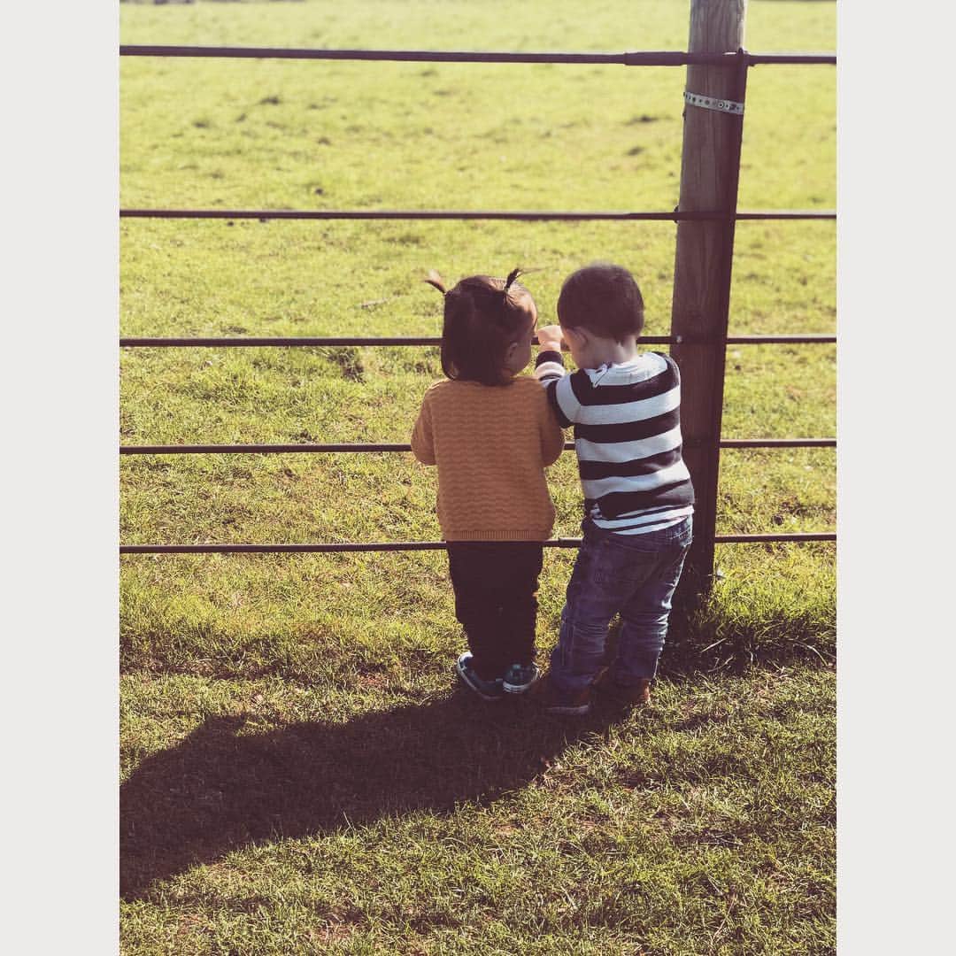 のインスタグラム：「These two melt my heart 💓 . . . . . . #daughter #toddler #18monthsold #friends #bestfriends #besties #socute #happiness #love #blessed #motherhood #friendship」