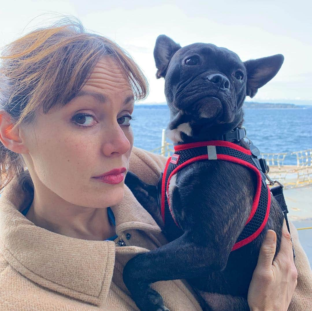 エミリー・スワローさんのインスタグラム写真 - (エミリー・スワローInstagram)「Puppy in the Puget Sound!  #vashonisland #seattle #puppiesonferries @normajeanmeatballs #returningtothesceneofthewedding」4月2日 5時04分 - bigeswallz