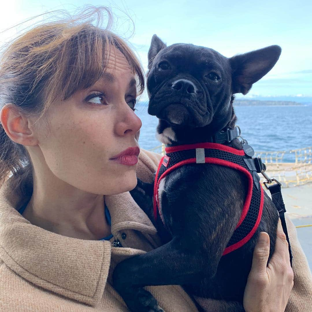 エミリー・スワローさんのインスタグラム写真 - (エミリー・スワローInstagram)「Puppy in the Puget Sound!  #vashonisland #seattle #puppiesonferries @normajeanmeatballs #returningtothesceneofthewedding」4月2日 5時04分 - bigeswallz