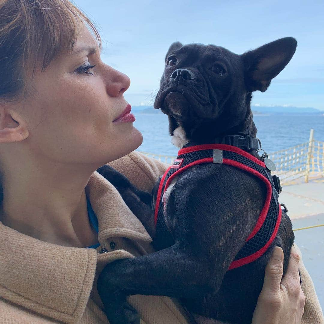 エミリー・スワローさんのインスタグラム写真 - (エミリー・スワローInstagram)「Puppy in the Puget Sound!  #vashonisland #seattle #puppiesonferries @normajeanmeatballs #returningtothesceneofthewedding」4月2日 5時04分 - bigeswallz