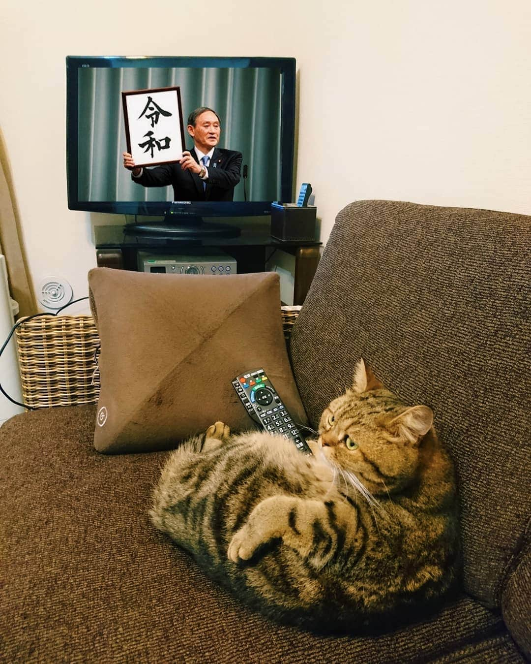 寅次郎（とらちゃん）さんのインスタグラム写真 - (寅次郎（とらちゃん）Instagram)「☆ watching TV📺 . 新元号は｢令和｣だったにゃ～ . @animalplanet.jp アニマルプラネットさんが日本向けの公式アカウントの開始を記念してキャンペーンをされています。 . @animalplanet.jp をフォローして、｢テレビや動画を見ている様子のペット｣の写真や動画を#アニマルプラネット のタグをつけて投稿するだけで、豪華な賞品が当たるみたいにゃよ～🎶 . ●「賞品詳細は「@animalplanet.jp 」のプロファイルをチェック！」 ⚫#アニマルプラネット をつけてキャンペーンに参加してね！ . 期間は3/27～ 4/26  詳細はキャンペーンサイトまで ↓ https://www.discoverychannel.jp/campaign/ap . ストーリーズハイライトからも飛べます……✈ . . #歴史的瞬間  #新元号  #令和  #画面だけ合成 😁」4月2日 6時13分 - torachanthecat