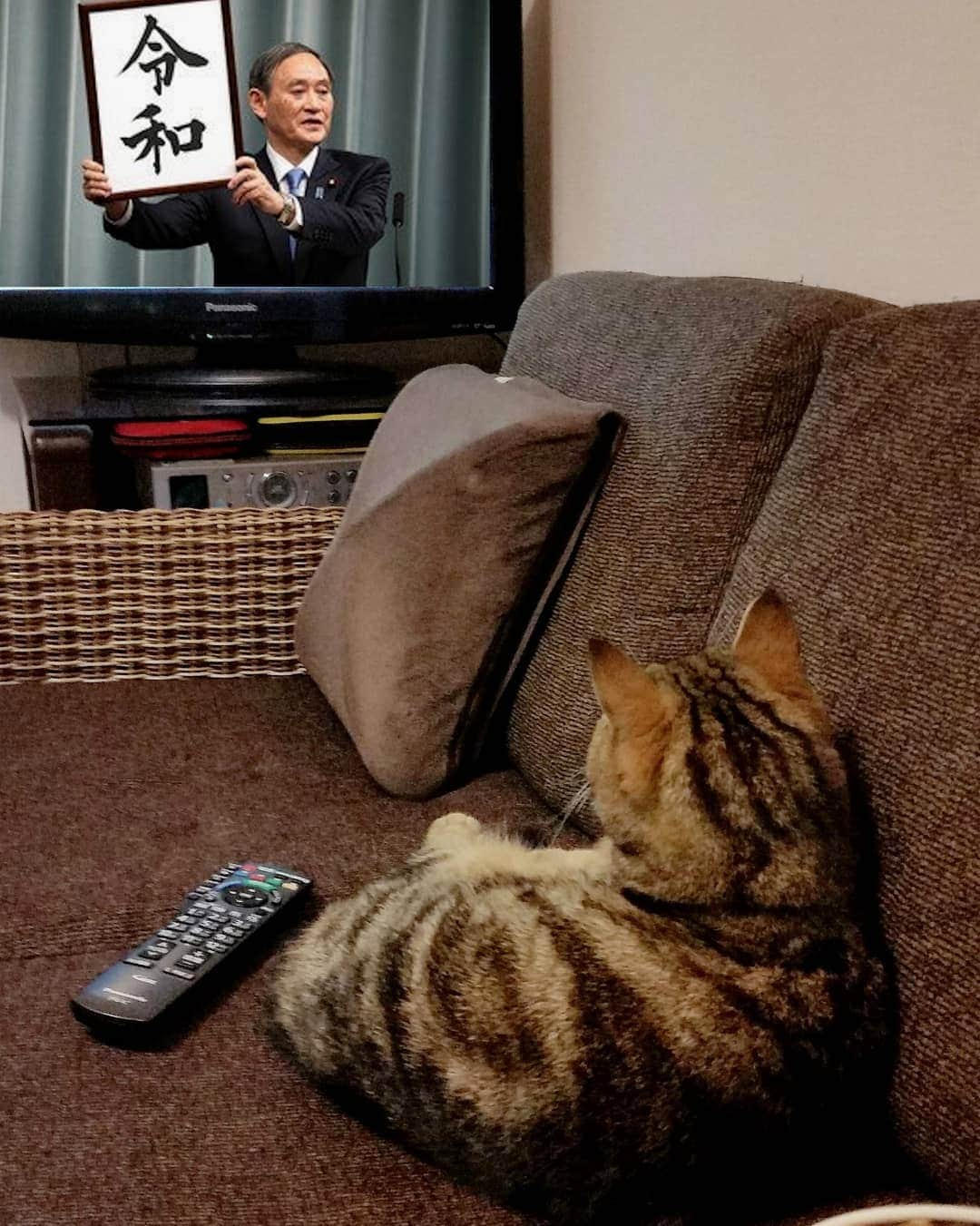 寅次郎（とらちゃん）さんのインスタグラム写真 - (寅次郎（とらちゃん）Instagram)「☆ watching TV📺 . 新元号は｢令和｣だったにゃ～ . @animalplanet.jp アニマルプラネットさんが日本向けの公式アカウントの開始を記念してキャンペーンをされています。 . @animalplanet.jp をフォローして、｢テレビや動画を見ている様子のペット｣の写真や動画を#アニマルプラネット のタグをつけて投稿するだけで、豪華な賞品が当たるみたいにゃよ～🎶 . ●「賞品詳細は「@animalplanet.jp 」のプロファイルをチェック！」 ⚫#アニマルプラネット をつけてキャンペーンに参加してね！ . 期間は3/27～ 4/26  詳細はキャンペーンサイトまで ↓ https://www.discoverychannel.jp/campaign/ap . ストーリーズハイライトからも飛べます……✈ . . #歴史的瞬間  #新元号  #令和  #画面だけ合成 😁」4月2日 6時13分 - torachanthecat