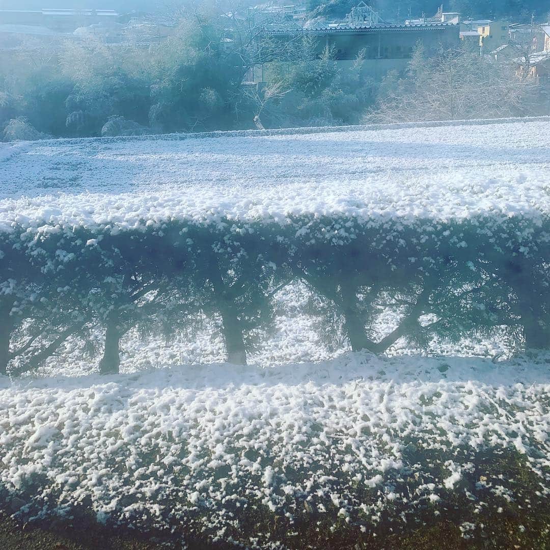 都竹悦子さんのインスタグラム写真 - (都竹悦子Instagram)「四月の雪  これで最後かな？  #2019年4月2日 #飛騨高山 #雪」4月2日 7時29分 - etsukotsuzuku