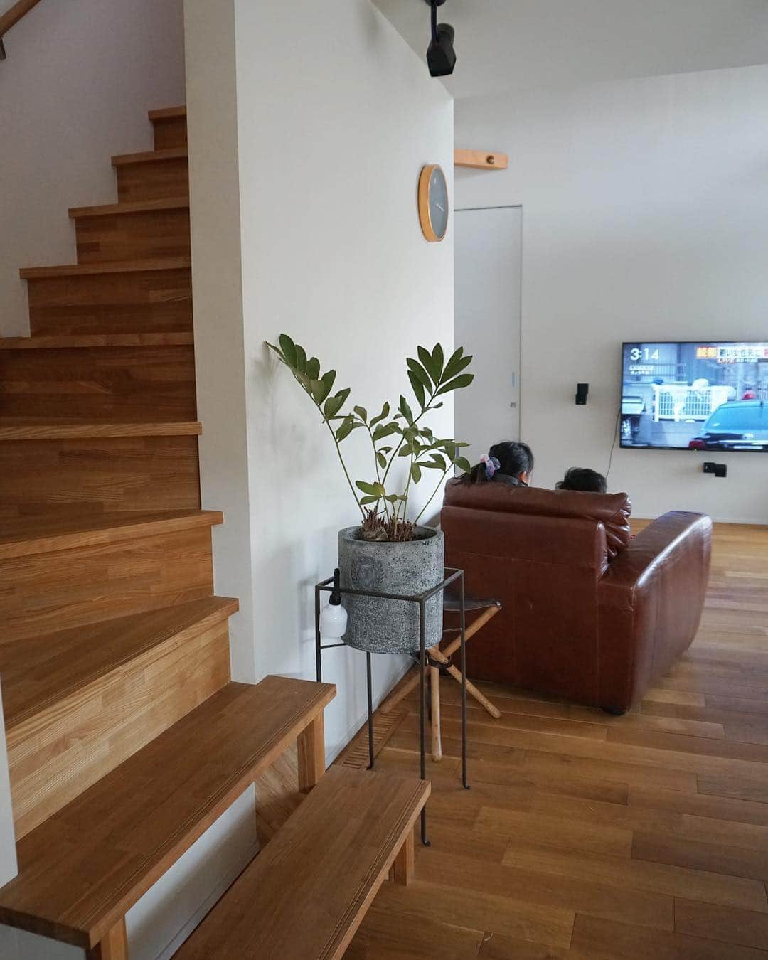 minminさんのインスタグラム写真 - (minminInstagram)「＊ ザミアプミラ🌱の調子悪く 葉が落ちたりするのでテレビの所から 元置いていた場所に戻しました。 #amiagram植物 ←前はこんなにワサワサしてたのに😱 ＊ よくベランダの開け閉めをするので 場所が悪かったのか寒かったのかも しれません。 ＊ 早く暖かくなって 復活してくれるといいなぁー ＊ ＊ #ザミア#ザミアプミラ#植物のある暮らし  #植物のある生活#観葉植物インテリア  #シンプルライフ#インテリア#インテリア雑貨 #1人掛けソファ#ソファ#階段#リビングインテリア」4月2日 7時29分 - amiagram