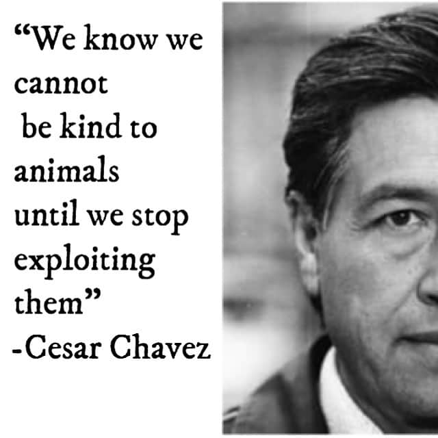 モービーさんのインスタグラム写真 - (モービーInstagram)「Happy #cesarchavezday . In addition to working tirelessly for human rights, Cesar Chavez was also a committed vegan activist who worked tirelessly for animal rights. “We know we cannot be kind to animals until we stop exploiting them -- exploiting animals in the name of science, exploiting animals in the name of sport, exploiting animals in the name of fashion, and yes, exploiting animals in the name of food.”-Cesar Chavez」4月2日 7時27分 - moby