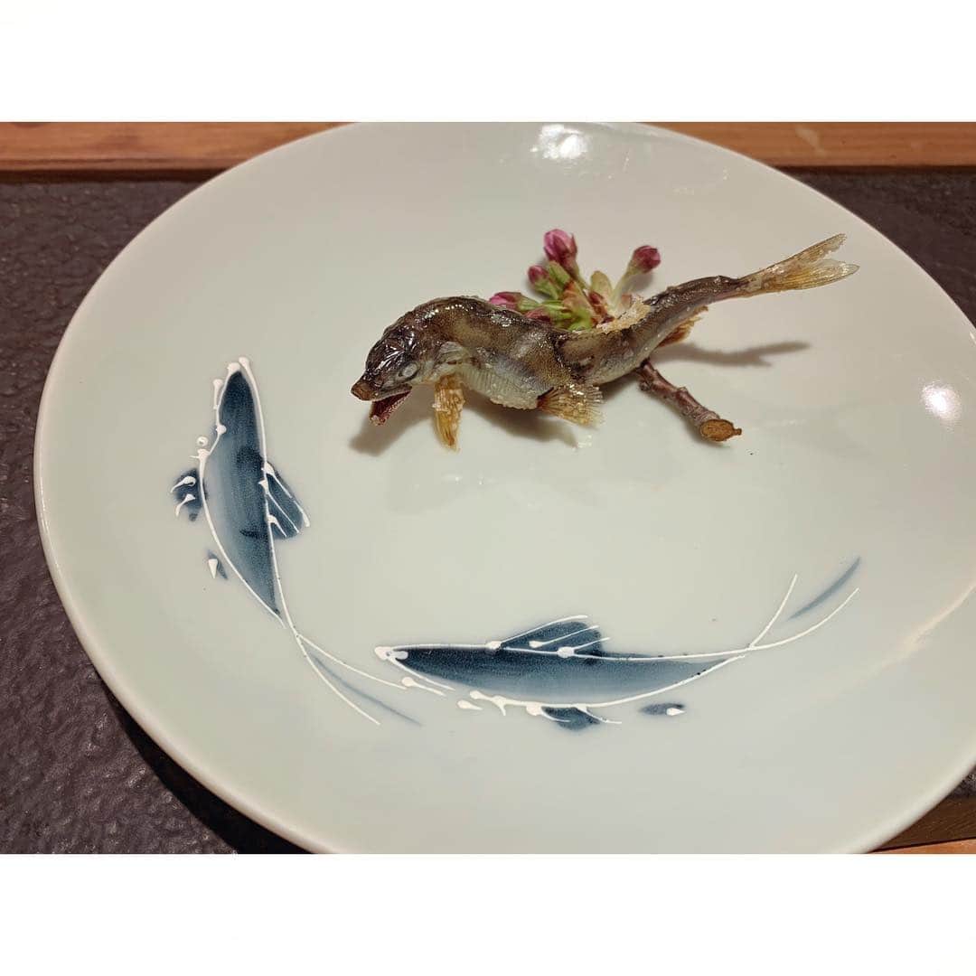玉巻映美さんのインスタグラム写真 - (玉巻映美Instagram)「せやねんで大変お世話になった山岸弁護士に、卒業祝いで「すし丈」という鮨屋に連れて行って頂きました🙇‍♂️ 出てくるものすべて美味しくて、日本酒も進んで、このはしゃぎよう（笑） 大将にお店の名前の由来を聞くと「あしたのジョーが好きだから」だそうです！ やまべんさん ありがとうございました😊」4月2日 7時52分 - eimi_tamamaki